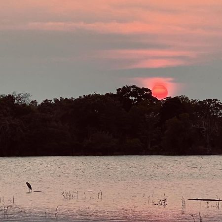 Yala Lake View Cabanas Tissamaharama Εξωτερικό φωτογραφία