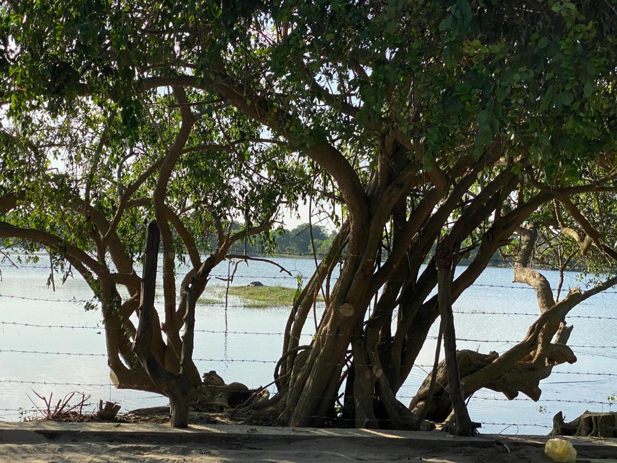 Yala Lake View Cabanas Tissamaharama Εξωτερικό φωτογραφία