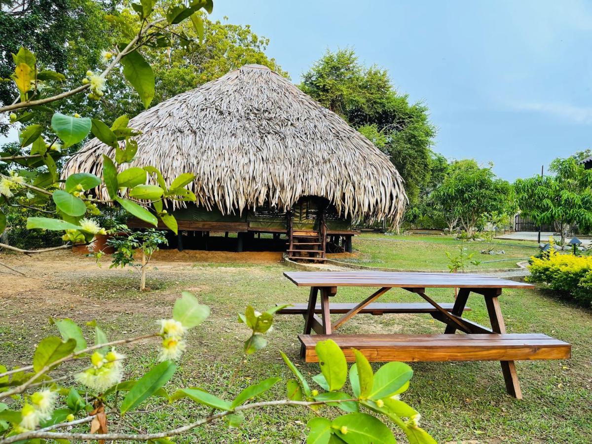Yala Lake View Cabanas Tissamaharama Εξωτερικό φωτογραφία