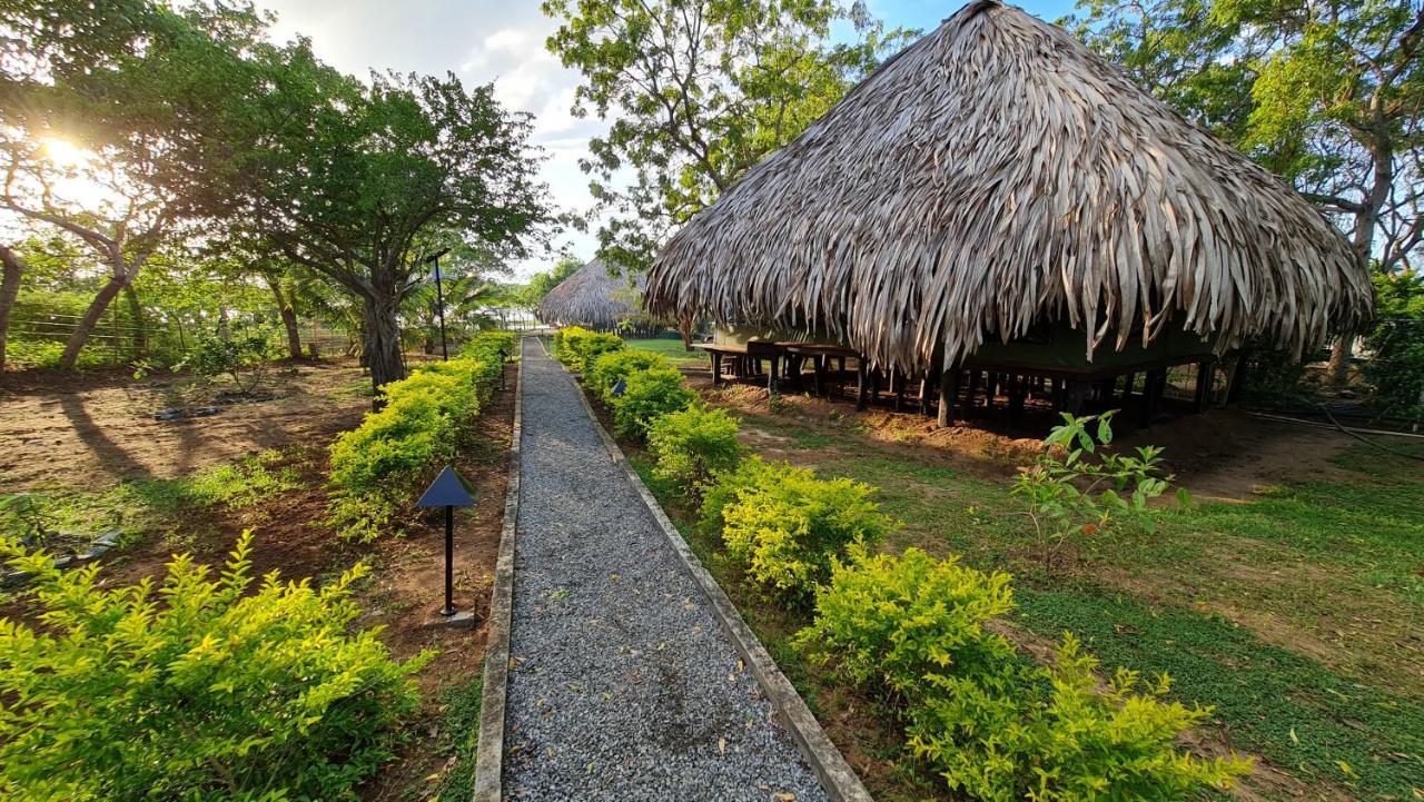 Yala Lake View Cabanas Tissamaharama Εξωτερικό φωτογραφία