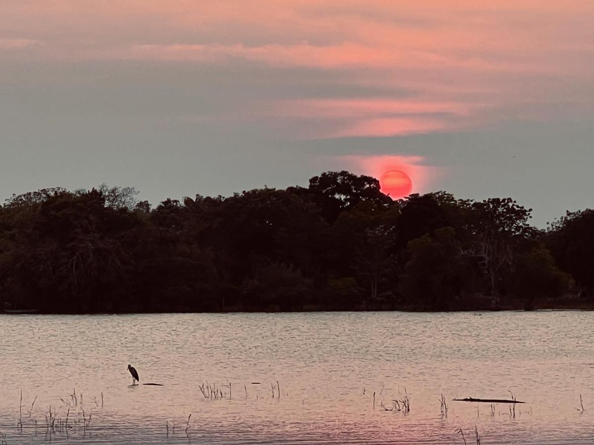 Yala Lake View Cabanas Tissamaharama Εξωτερικό φωτογραφία