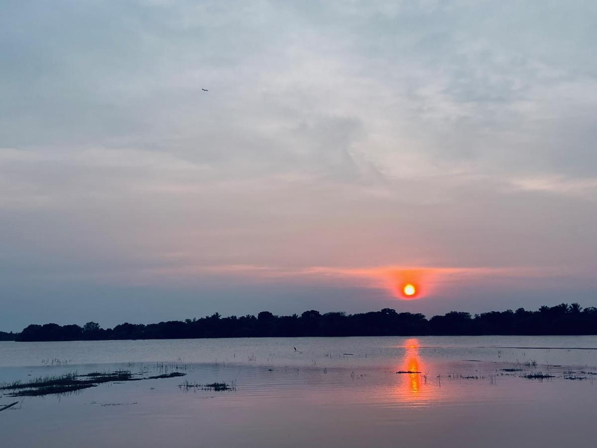Yala Lake View Cabanas Tissamaharama Εξωτερικό φωτογραφία